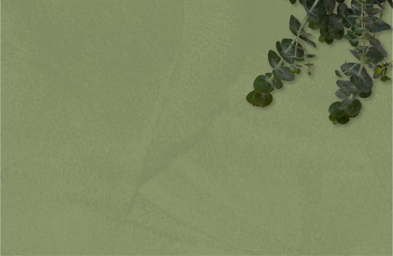 green background with eucalyptus